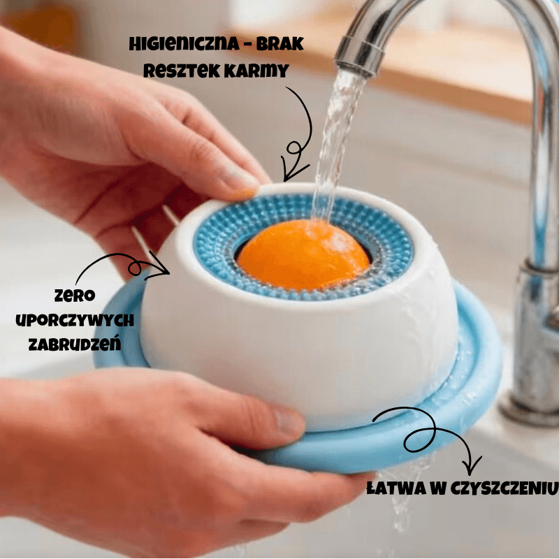 Koniec z brudnymi i niehigienicznymi miskami!