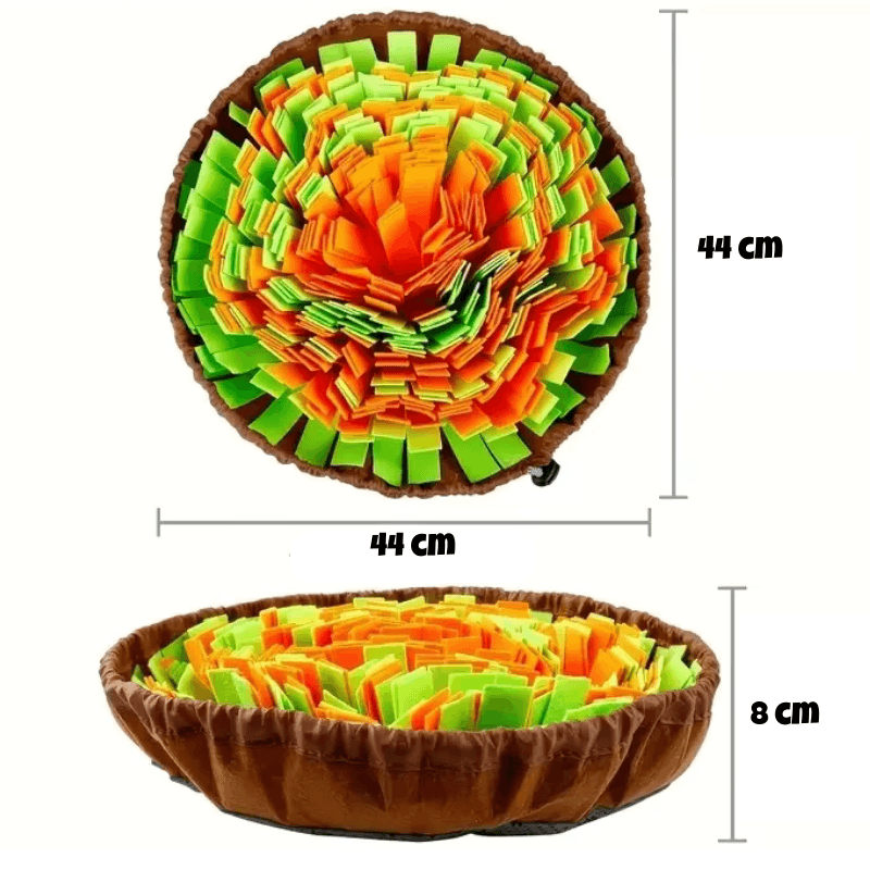 Twój pies się nudzi?