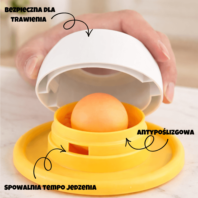 Twój pies pochłania jedzenie w mgnieniu oka?