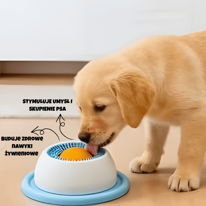 To, jak karmisz psa, wpływa na jego rozwój